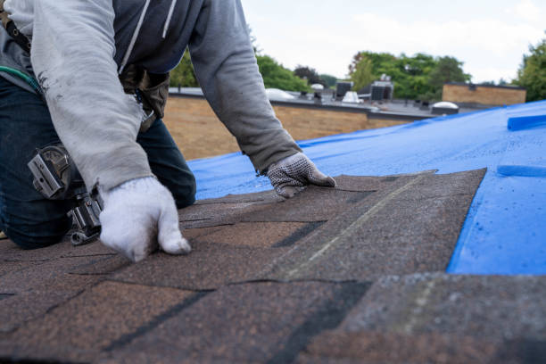 Best Roof Gutter Cleaning  in Akron, IA